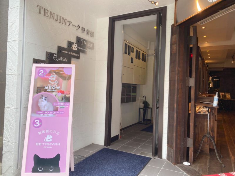人気 福岡でおすすめ猫カフェ店10選 天神博多駅近くでゆっくりできる癒しスポット Fukuokab フクビー