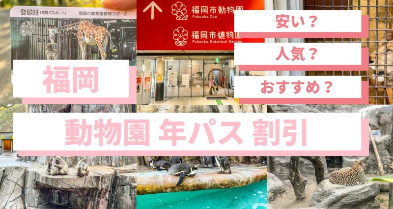 割引】福岡市動物園の年パス1500円を買ってみたブログ！有名な見所や所要時間は？ FukuokaB（フクビー）